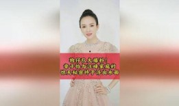 狗仔队爆料汪峰视频播放,狗仔队揭秘幕后真相