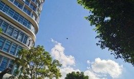 协和医院今日爆料电话,揭露医疗行业内部惊人内幕