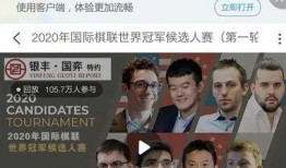 日本候选人爆料视频,视频揭秘选举黑幕