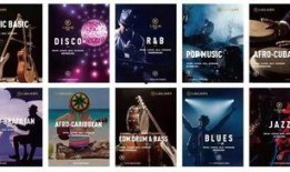 爆料音乐视频,爆款歌曲背后的故事与幕后制作