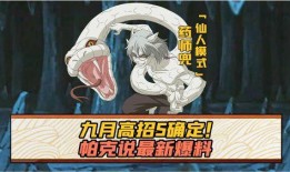 五月最新s忍爆料,神秘忍者阵容揭秘，实力升级引期待