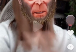 抖音猪八戒爆料视频