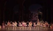 王室最新爆料视频下载,最新爆料视频深度解析