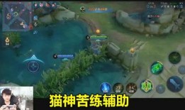 望月草最新爆料,揭秘娱乐圈惊天秘密