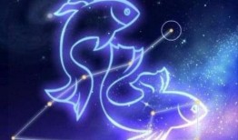 双鱼彩蛋天堂爆料视频,天堂爆料视频背后的神秘世界