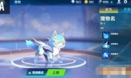 qq飞车最新爆料宠物,萌宠助阵，速度与激情再升级！