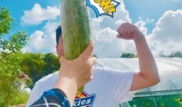 推特网红吃瓜,揭秘推特网红背后的惊人真相！”