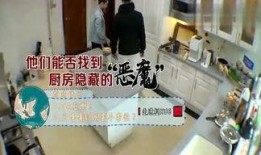 最新鲜的爆料,娱乐圈最新重磅爆料，真相令人震惊！