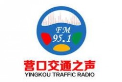 营口电视台爆料新闻,揭秘当地热点事件背后的真相