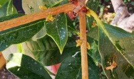 湖南新闻媒体爆料热线,揭露社会热点，守护公平正义