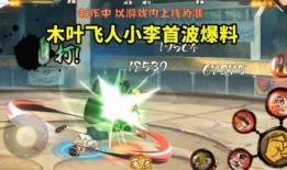 宗师李洛克爆料视频,武术宗师背后的传奇故事