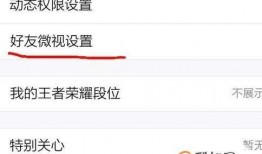 好友爆料视频怎么看到的,如何捕捉精彩瞬间