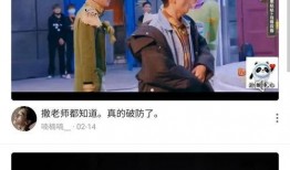 虎狼双生爆料视频大全集,揭秘幕后真相与精彩瞬间