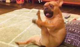 返厂最新爆料图片搞笑大全,笑料百出，揭秘生产线背后的欢乐瞬间