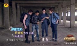 能人于四在线观看,在线观看背后的精彩故事