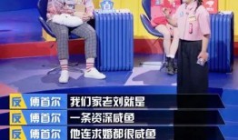 北漂老刘伙伴爆料视频,揭秘京城生活点滴