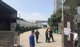 雄县世纪城爆料案件最新,真相渐明，疑云散去