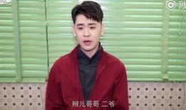 二爷最新爆料视频大全,揭秘幕后真相，热点事件全解析