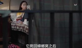 花姐爆料三个孩子的视频,三个孩子成长瞬间，温馨视频感动网友