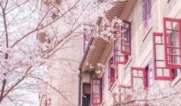 武汉大学最新事件爆料有哪些