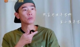 圈内爆料付辛博颖儿,甜蜜互动引网友热议