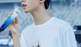 圈内爆料王源成毅,揭秘娱乐圈的神秘恋情