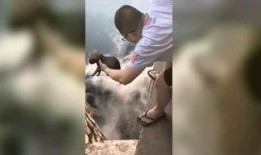 小猴娱乐爆料娱乐圈,娱乐圈幕后风云