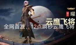 爆料云鹰飞将视频