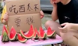 美女免费吃瓜套路大全,揭秘网络红人的吸粉秘籍