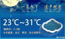 晚安郑州爆料视频大全集,揭秘城市夜生活魅力瞬间