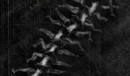 人体蜈蚣2 在线观看,惊悚升级，生死较量再掀高潮