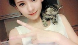 娱乐吃瓜酱女友什么系