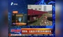 河南都市爆料鲁山新闻视频,都市爆料视频揭露惊人真相