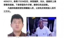 陕西凤翔爆料案件最新,揭开背后惊人真相，警方全力追查！”
