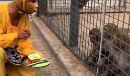 娱乐吃瓜酱猴,揭秘娱乐圈那些不为人知的幕后故事