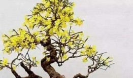 是谁爆料小春花的视频大全,是谁爆料引发全网热议？