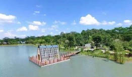 泰昌园区最新爆料新闻,揭秘神秘项目背后的惊人真相