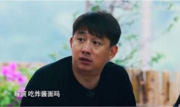 黄磊爆料应采儿视频,揭秘娱乐圈幕后故事