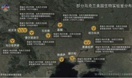 俄国爆料生物实验视频播放,俄国爆料生物实验视频曝光，惊悚画面引发全球关注