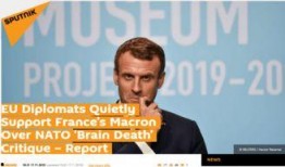 美国外交官爆料新闻,揭秘外交内幕与权力斗争