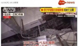 核电厂内部员工爆料视频,揭秘核电站真实运行状况