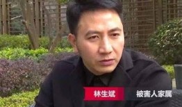 林生斌宣布再婚爆料视频,揭秘新恋情与网友热议