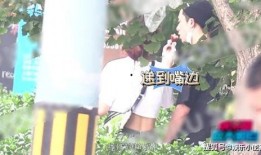 王鹤棣恋情圈内人爆料,圈内人独家爆料，神秘女友身份引热议