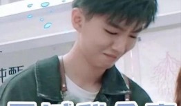 王俊凯爆料大瓜视频下载,揭秘娱乐圈大瓜视频幕后真相