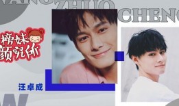 汪卓成最新爆料,娱乐圈背后的惊人真相