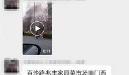 家园最新爆料视频大全免费观看,免费观看，揭秘未知世界