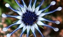 和平小花花爆料视频在哪看,揭秘热门视频观看途径