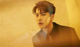 网友爆料王嘉尔事件视频,网友热议真相与争议