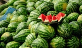 所有网红吃瓜,揭秘娱乐圈幕后风云