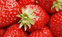 草莓果冻爆料视频下载,带你探秘幕后真相